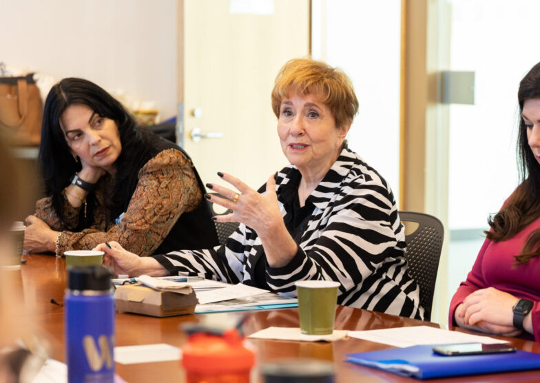 Sen. Wellman zoom 2-06 Senator addresses Women's Commission at conference table.